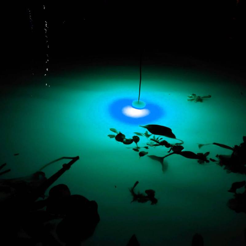 Mini lampa wędkarska świecąca  – Fishing Boat Navigation Light recenzja i cena